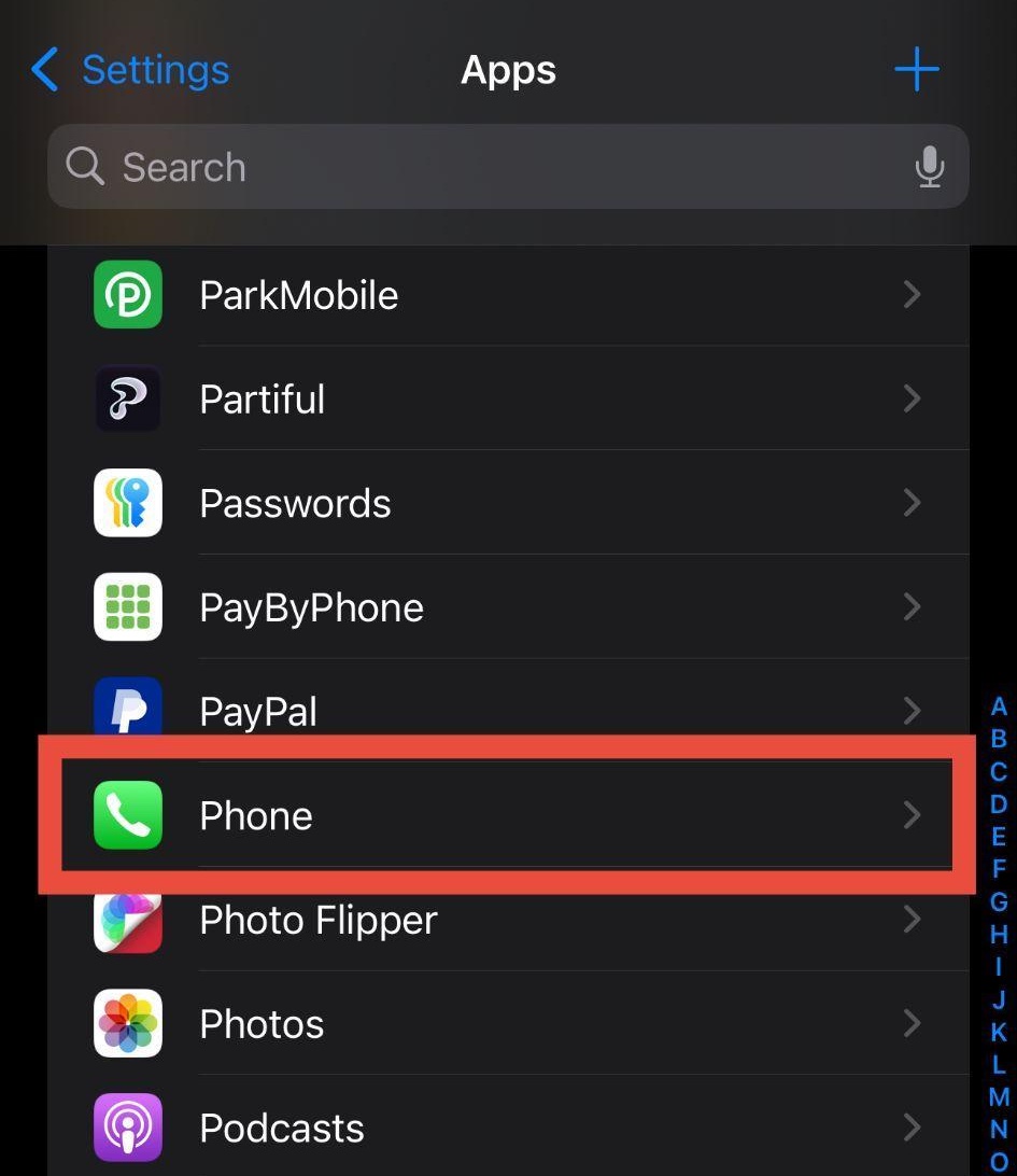 Phone App Settings